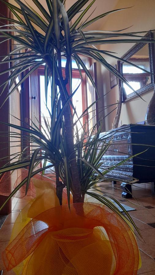 Su Fassoi Cabras Bed & Breakfast エクステリア 写真