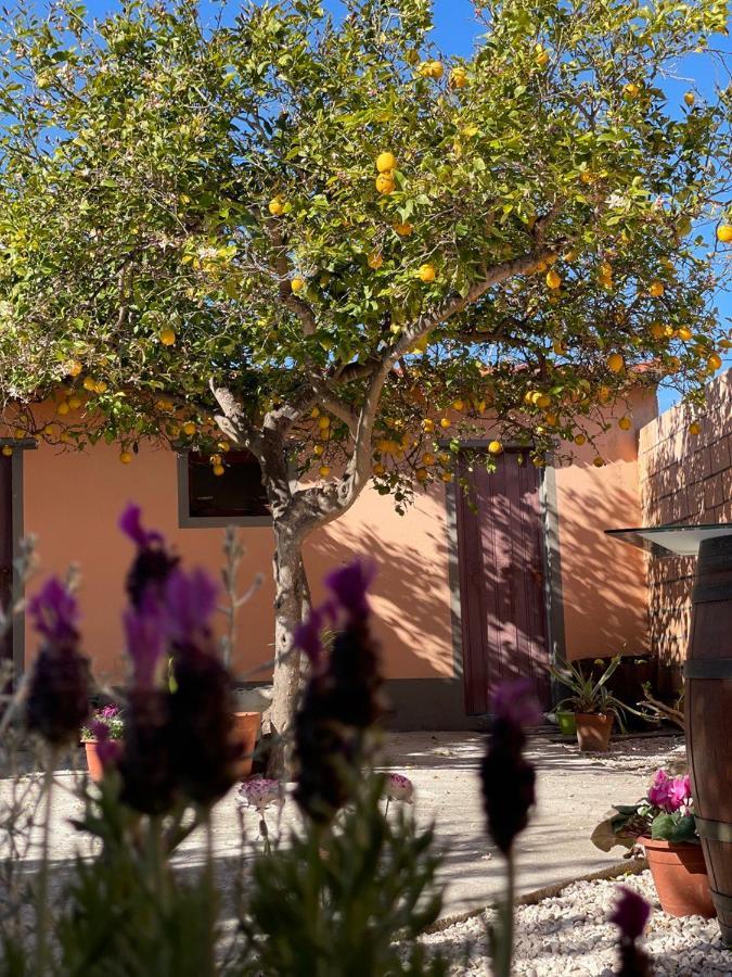 Su Fassoi Cabras Bed & Breakfast エクステリア 写真
